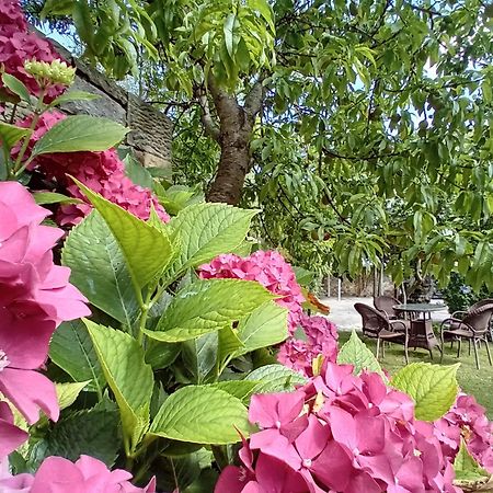 Turieno Picos De Europa Suites And Rooms מראה חיצוני תמונה