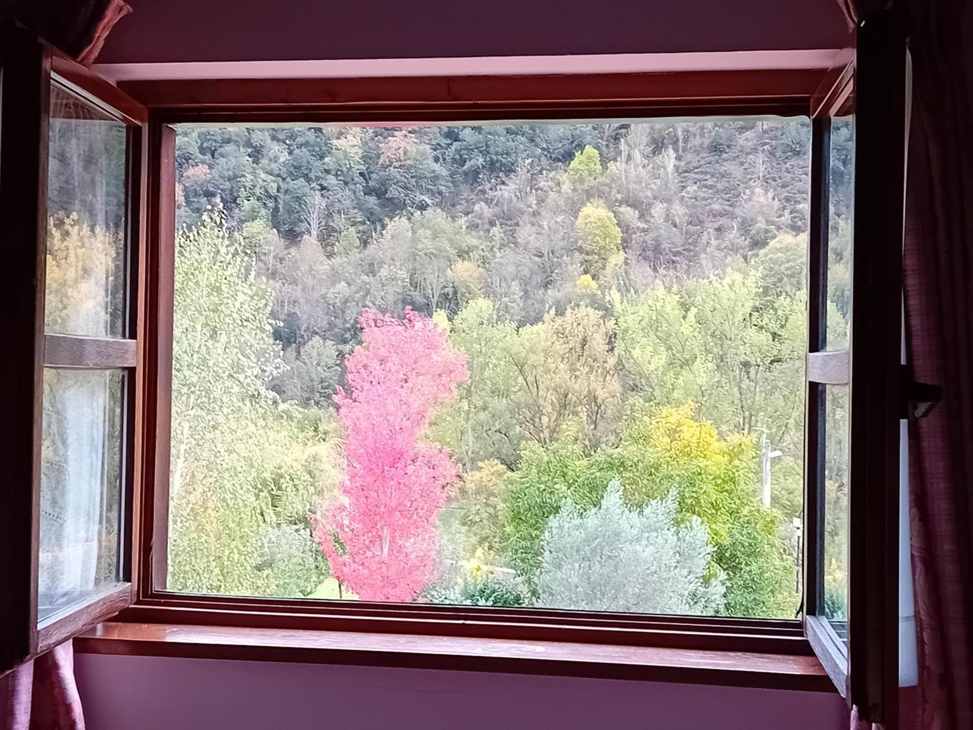 Turieno Picos De Europa Suites And Rooms מראה חיצוני תמונה
