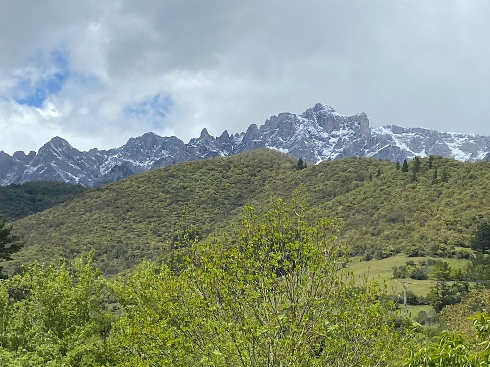 Turieno Picos De Europa Suites And Rooms מראה חיצוני תמונה