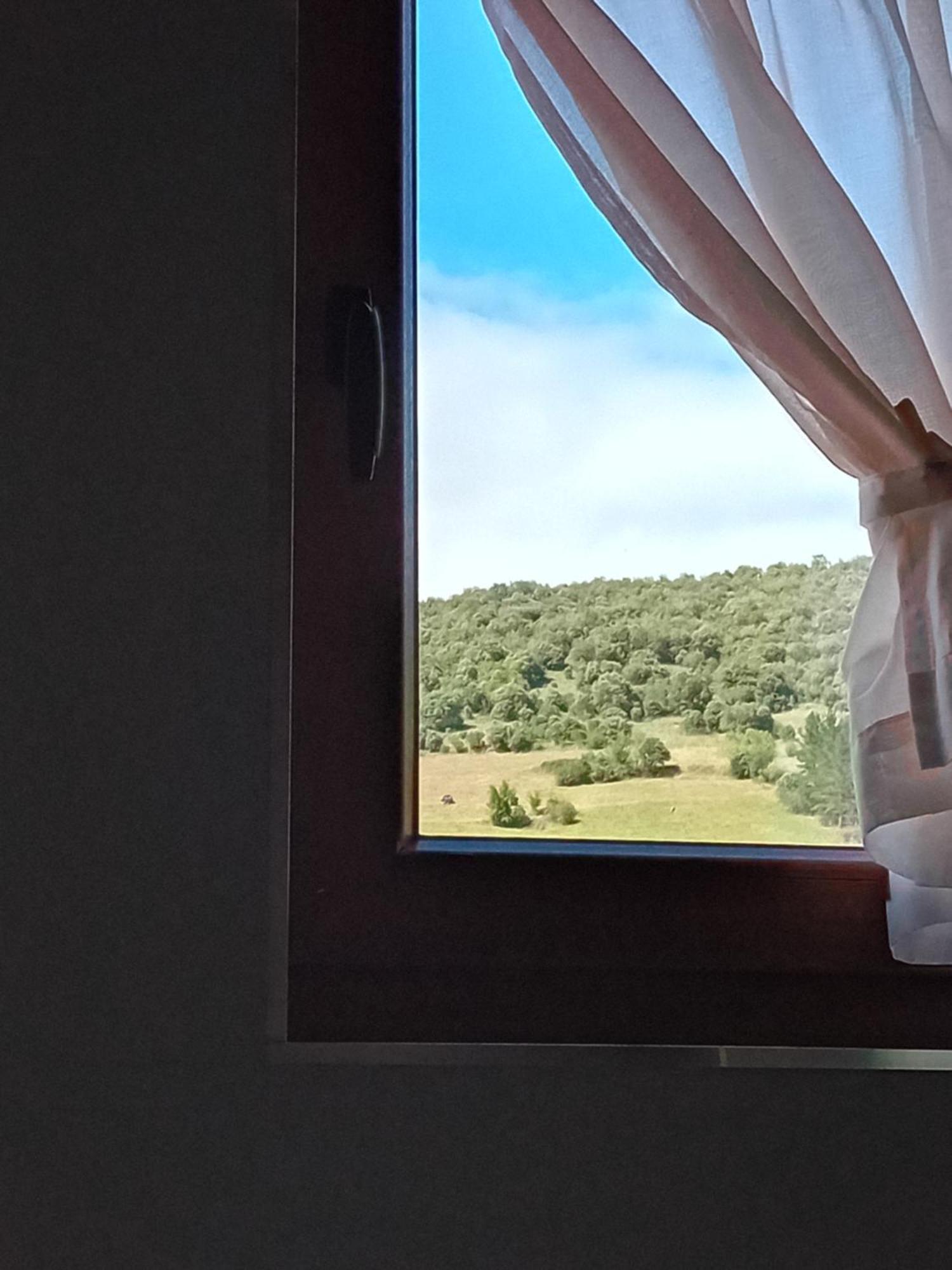 Turieno Picos De Europa Suites And Rooms מראה חיצוני תמונה