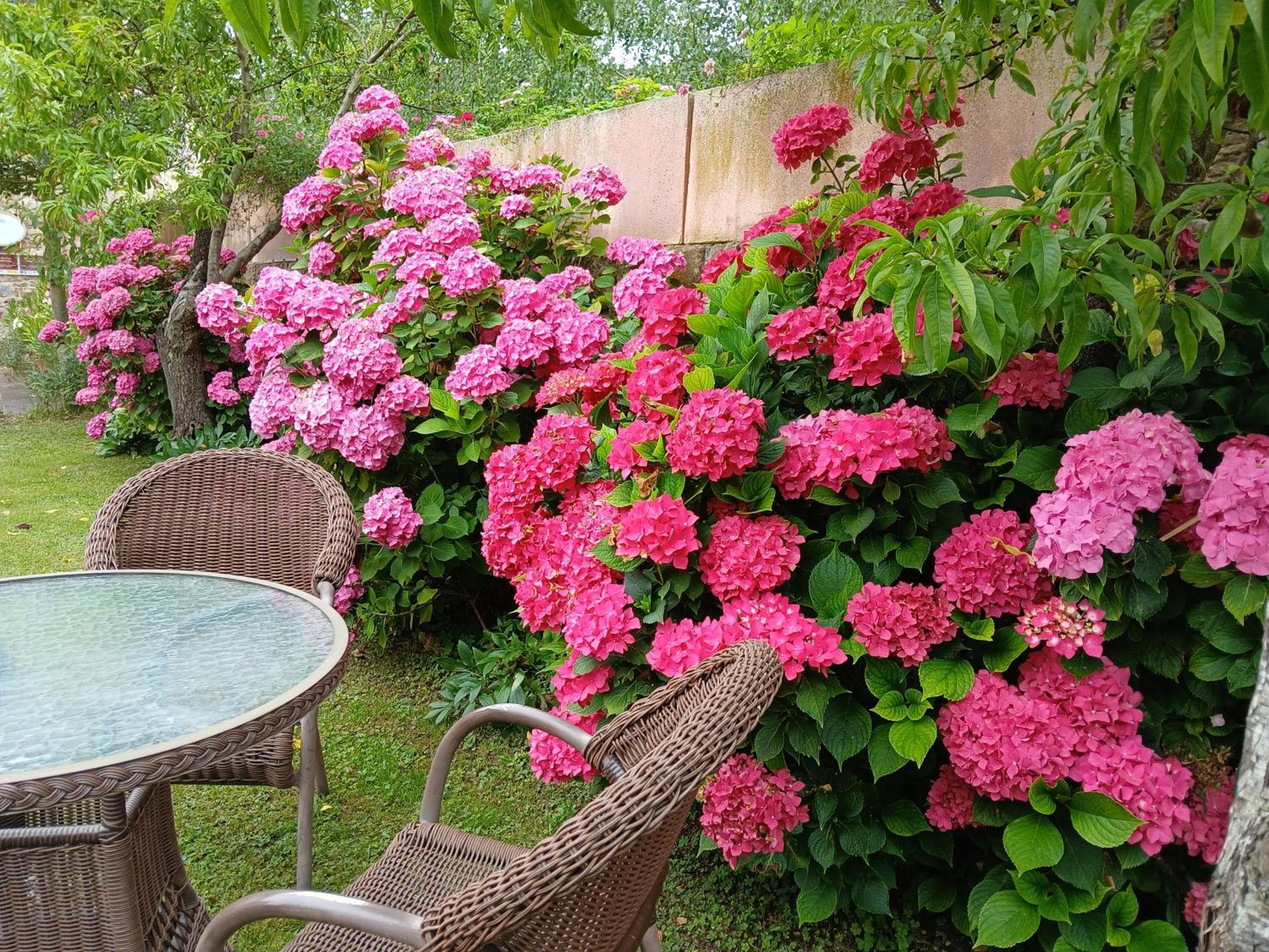 Turieno Picos De Europa Suites And Rooms מראה חיצוני תמונה