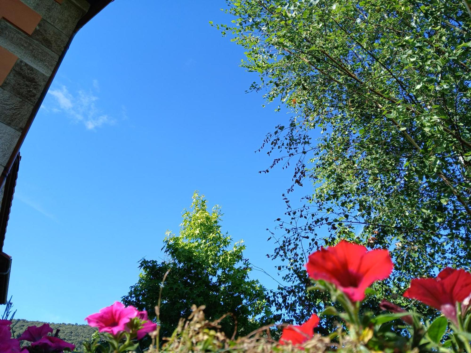 Turieno Picos De Europa Suites And Rooms מראה חיצוני תמונה