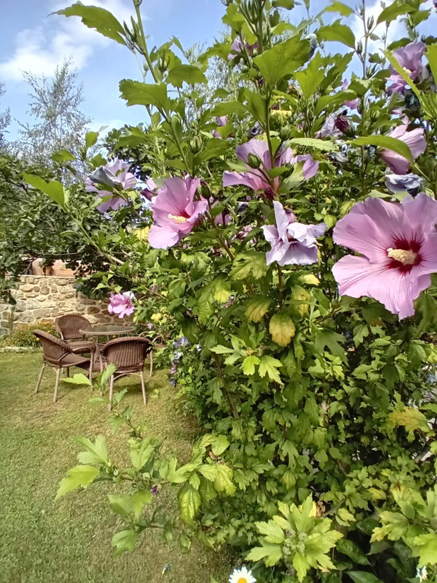 Turieno Picos De Europa Suites And Rooms מראה חיצוני תמונה