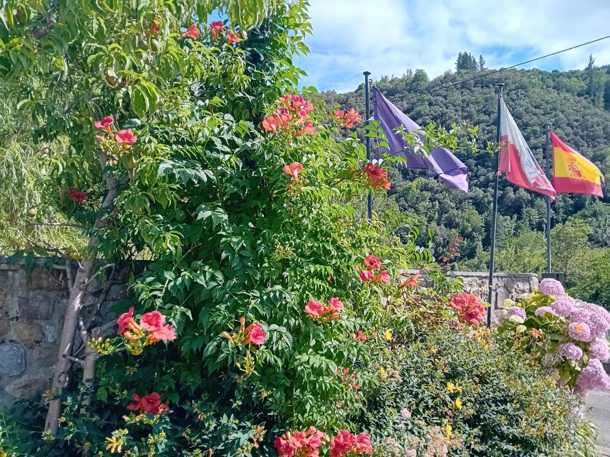 Turieno Picos De Europa Suites And Rooms מראה חיצוני תמונה