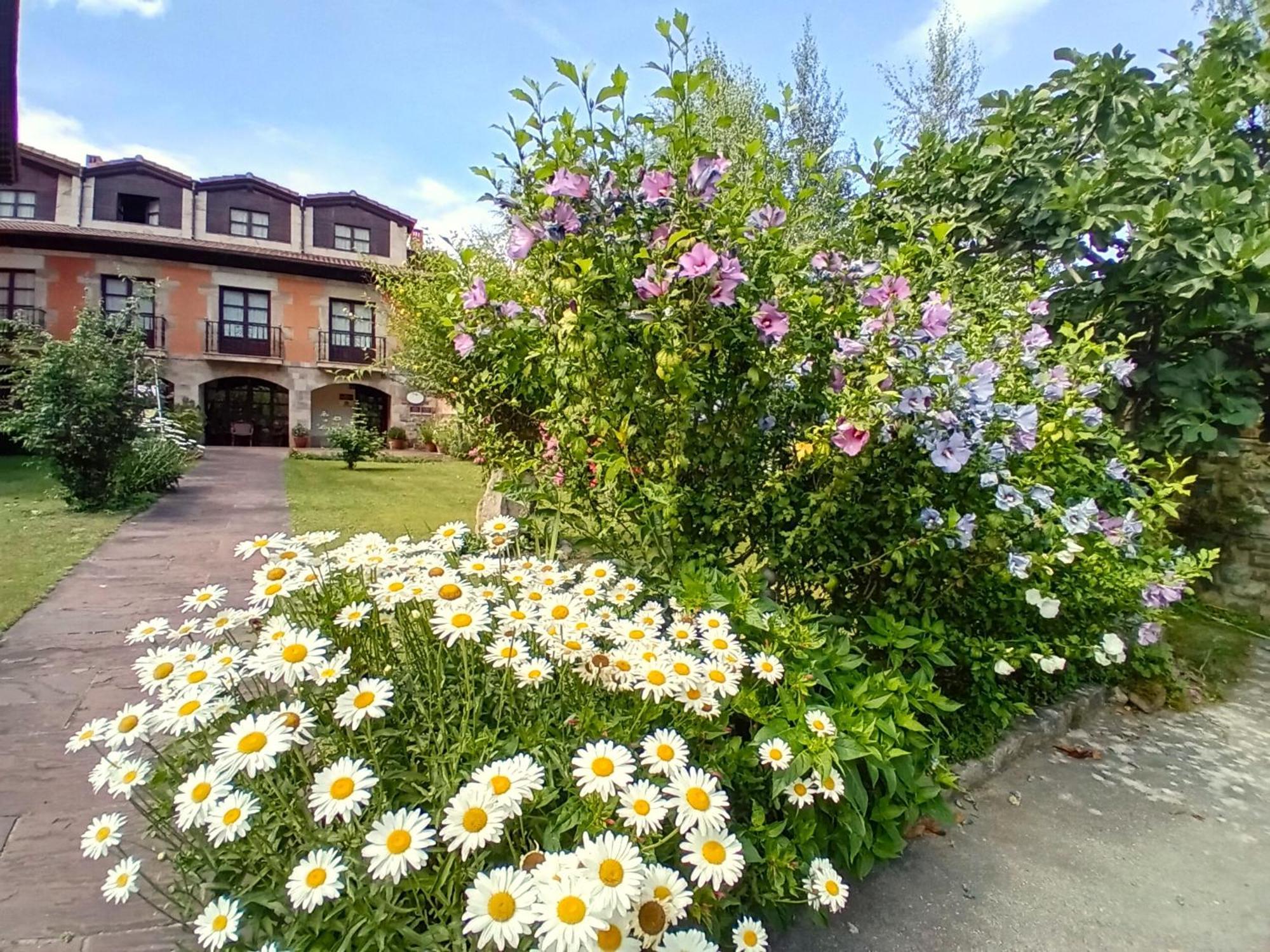 Turieno Picos De Europa Suites And Rooms מראה חיצוני תמונה